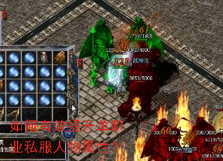 �����Ч������ְҵ˽���������ԣ�