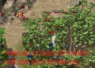 ����˽����ʦ������������˳�����ѡ����ܿ����ư�ȫ����