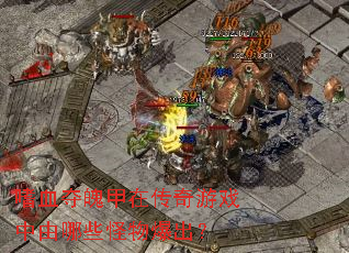 ��Ѫ���Ǽ��ڴ�����Ϸ������Щ���ﱬ����