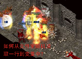 ��δ��ļ��������ȡһ�е������У�