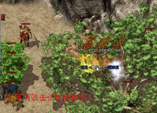 �����Ч��ɱ���þ��飿