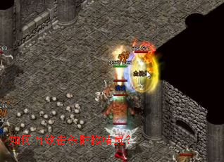 �����Ч��ɱ���þ��飿