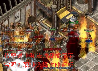 �����ʿ�ͷ�ʦ���ܴ�������ְҵѡ���Խ���