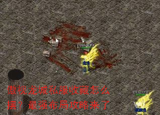 ��������˽���ղ���ô�ڣ���ǿ���ֹ�������