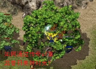 ���ͨ������sf������������ʱ�⣿