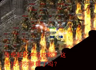 ���������弶���ԣ���Щ��������������