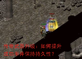 ����������������������ɹ��ʲ����ֳ־��ԣ�