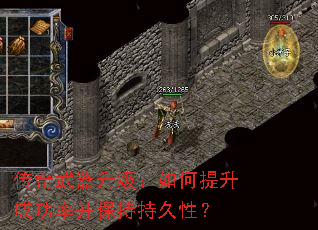 ����������������������ɹ��ʲ����ֳ־��ԣ�