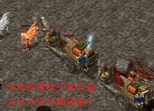 ����ɳ��ս�������󻯶��鸨��Ч����