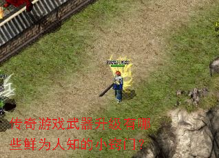 传奇游戏武器升级有哪些鲜为人知的小窍门? 传奇游戏武器升级有哪些鲜为人知的小窍门?