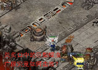 ���˿��еľ�����������λ��ܣ�