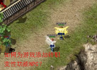 ���Ϊ��Ϸ����תְ���Թ���NPC��