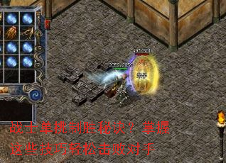 սʿ������ʤ�ؾ���������Щ�������ɻ��ܶ���