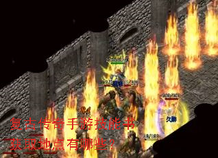 ���Ŵ������μ������ȡ�ص�����Щ��