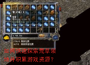 如何快速探索荒草领地并积累游戏资源? 如何快速探索荒草领地并积累游戏资源?