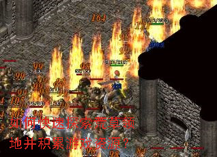 如何快速探索荒草领地并积累游戏资源? 如何快速探索荒草领地并积累游戏资源?