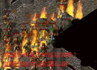 ��Ѫ����ħ�����������ԣ���ο��ٳ弶�ư�˽����