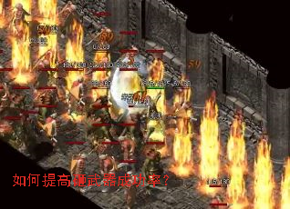 �������������ɹ��ʣ�