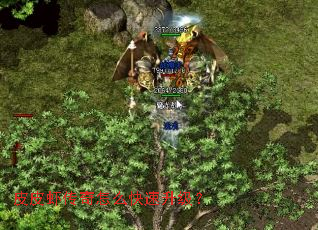 ƤƤϺ������ô����������