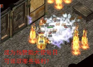 ��Ϊָ������ʹÿ�տ���ȡ��Щ������