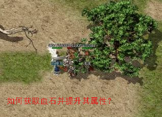 如何获取血石并提升其属性? 如何获取血石并提升其属性?