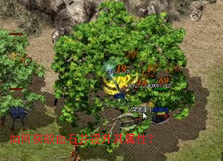 ��λ�ȡѪʯ�����������ԣ�