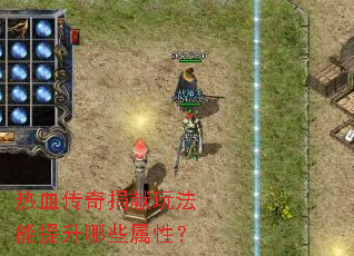 ��Ѫ��������淨��������Щ���ԣ�