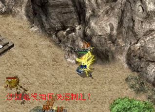 ɳ��ս����ο�����ʤ��