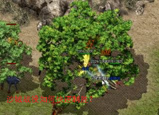 ɳ��ս����ο�����ʤ��