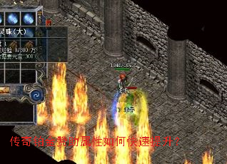 ���沬������������ο���������