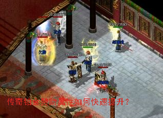 ���沬������������ο���������