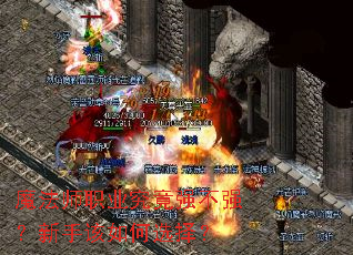 ħ��ʦְҵ����ǿ��ǿ�����ָ����ѡ��