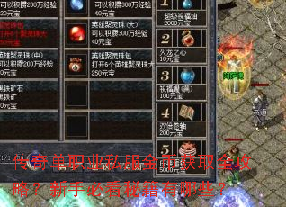 传奇单职业私服金币获取全攻略?新手必看秘籍有哪些? 传奇单职业私服金币获取全攻略?新手必看秘籍有哪些?