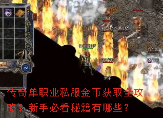 传奇单职业私服金币获取全攻略?新手必看秘籍有哪些? 传奇单职业私服金币获取全攻略?新手必看秘籍有哪些?