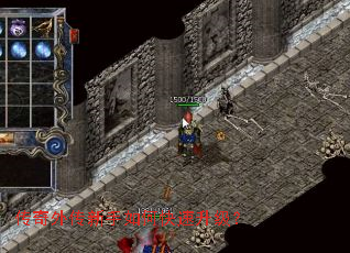 �����⴫������ο���������