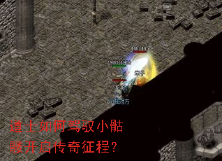 ��ʿ��μ�ԦС���ÿ����������̣�