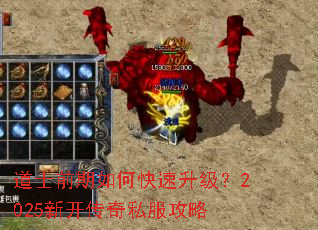 ��ʿǰ����ο���������2025�¿�����˽������