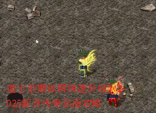 ��ʿǰ����ο���������2025�¿�����˽������