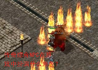 �����ۺ�NPC����Ϸ�а���ʲô��ɫ��