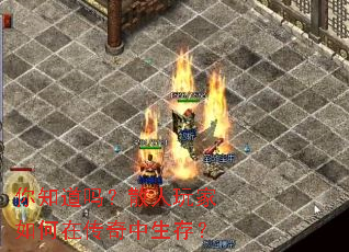 ��֪����ɢ���������ڴ��������棿