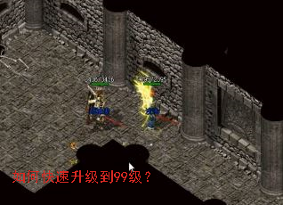 ��ο���������99����