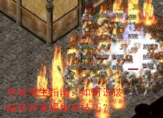 ��������ָ�ϣ����ʶ�����岢�������漼�ɣ�