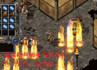 ��ħ��°汾����Щ��ɫ�淨���������ԣ�