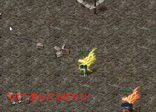 ������ô��浥��˫����