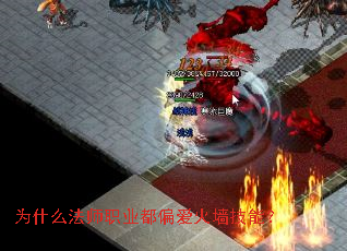 Ϊʲô��ʦְҵ��ƫ����ǽ���ܣ�