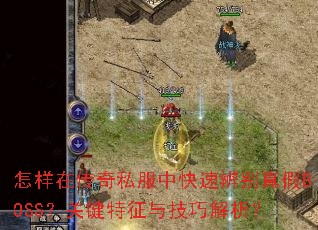 �����ڴ���˽���п��ٱ�����BOSS���ؼ������뼼�ɽ�����