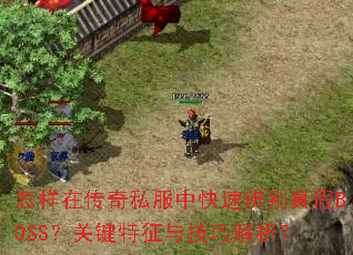 �����ڴ���˽���п��ٱ�����BOSS���ؼ������뼼�ɽ�����