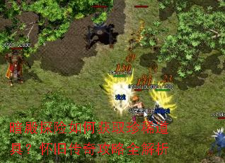 ����̽����λ�ȡ��ϡ���ߣ����ɴ��湥��ȫ����