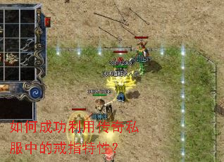 ��γɹ����ô���˽���еĽ�ָ���ԣ�