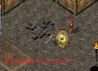 ���淨ʦѪ�����������Ӧ�ԣ�